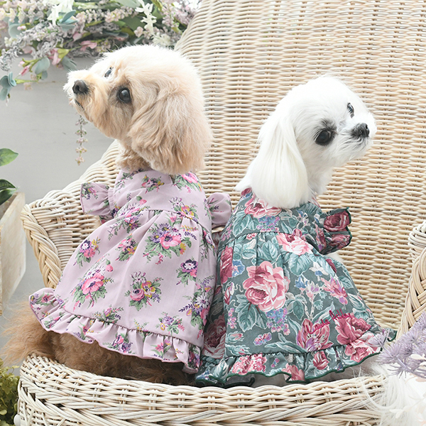 LAURA ASHLEY（ローラアシュレイ）ショルダーフリルAラインワンピース